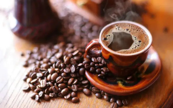 ¿Cuánto tiempo de vida útil tiene el café?