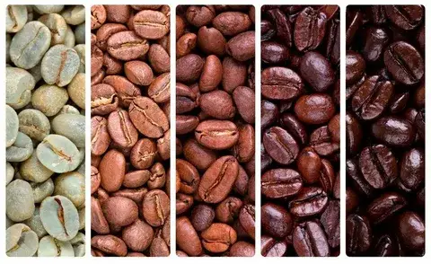 ¿Cuáles son los diferentes grados de café?