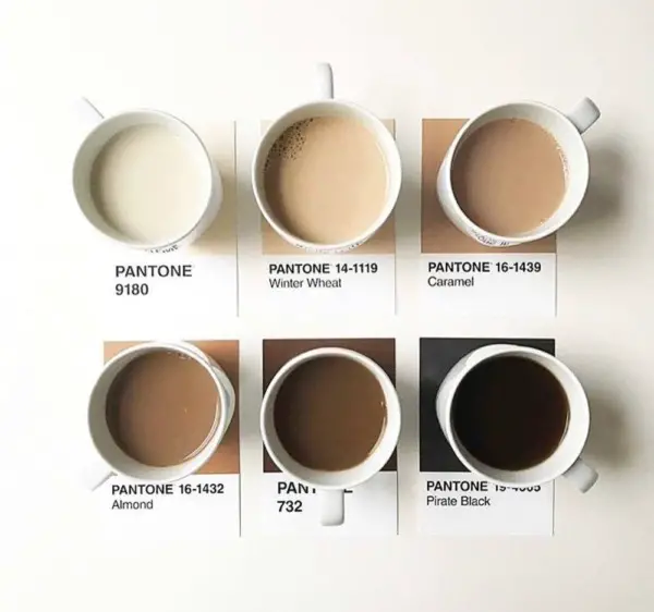 ¿Cuál es la diferencia entre café blanco y negro?