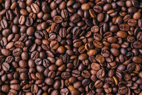 ¿Puedes usar granos de café regulares para hacer espresso?