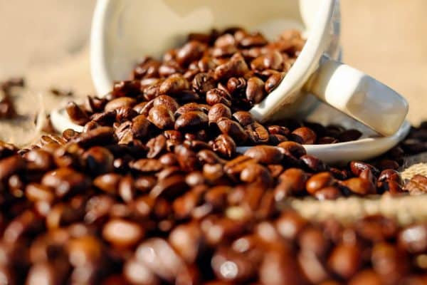 Capresso Coffee Burr Grinder vs Capresso Infinity Burr Grinder – Comparación de productos