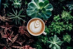 Tassimo vs Keurig: Comparación de sistemas de producción de café en cápsulas