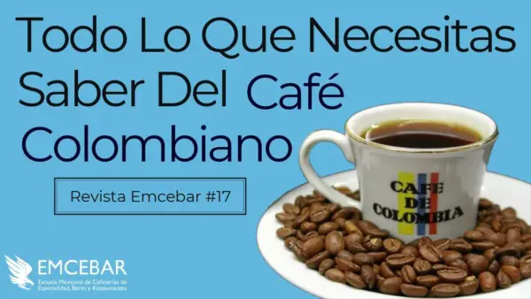 Café Colombiano (Todo lo que Necesitas Saber)