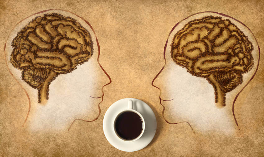 ¿Cómo afecta la cafeína a la memoria, el Alzheimer y el cerebro?