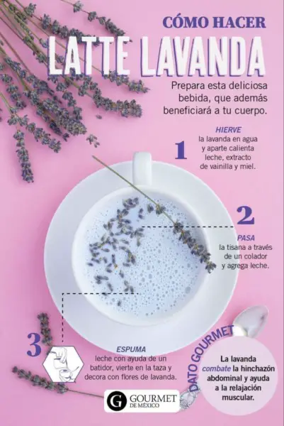 Cómo hacer té con leche de lavanda en casa: Receta simple