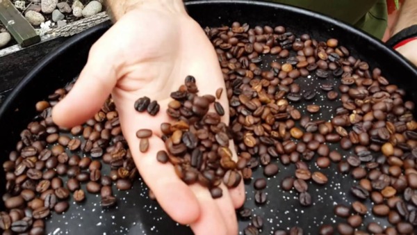 Cómo tostar granos de café verde en casa