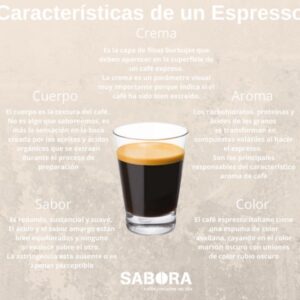 ¿Cuánto cuesta un trago de espresso?  (Explicado)