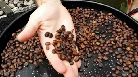 ¿Puedes tostar granos de café en un ahumador?  ¡Apuesta!