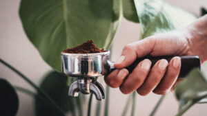 Los múltiples usos del café molido en el jardín