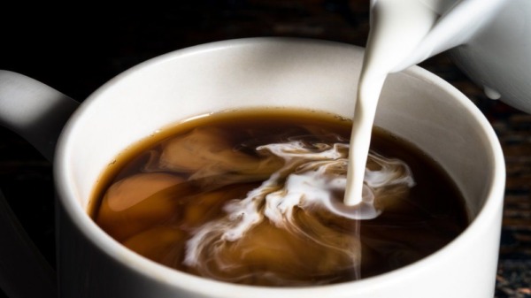 ¿Puedes poner crema de café en la leche?   Sepa qué tipo de crema para café es seguro agregar a la leche