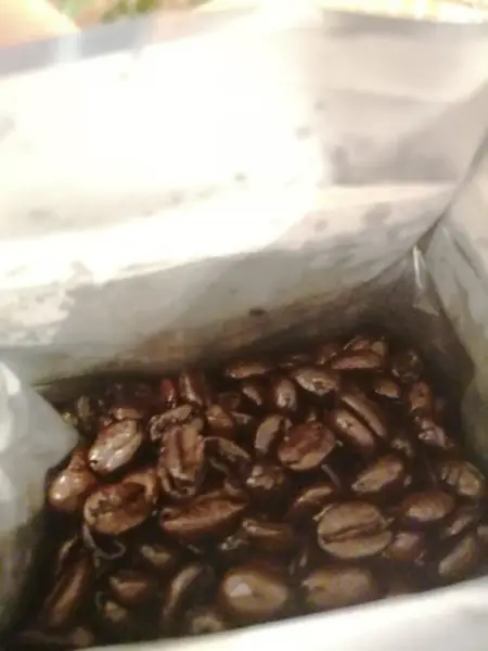 ¿Qué son los granos de café aceitosos?