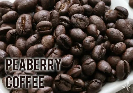 Qué es y cómo preparar el Café Peaberry