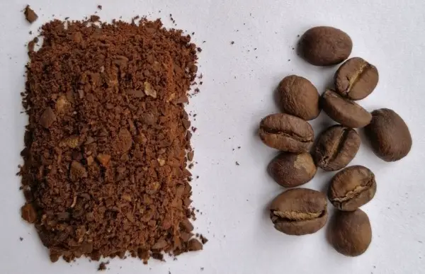 ¿Se puede usar café molido regular para espresso?  ¡Qué saber!