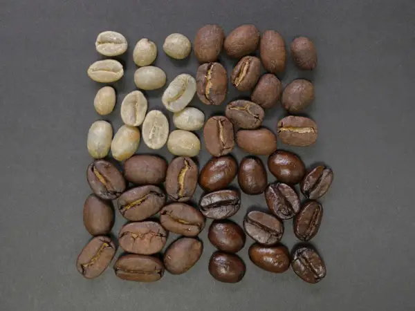¿Son los granos de café expreso lo mismo que el tostado oscuro?