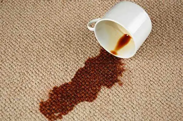 Cómo quitar las manchas de café de la alfombra
