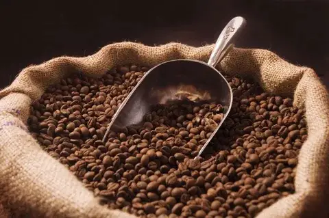¿Por qué los granos de café se tuestan antes de moler?