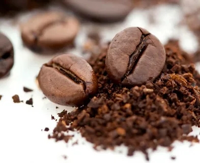 ¿Cuál es mejor café molido o grano entero?  Elección de baristas